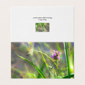 Wild Field Grass - Violet Blossom Folded Kaart (Buitenkant ongevouwen)