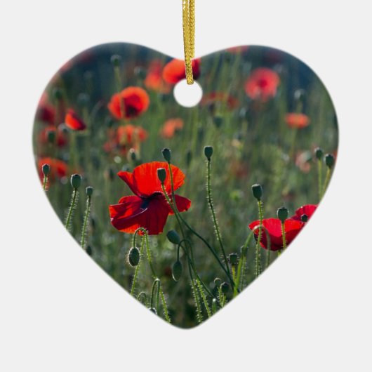 Wild Field of Poppies Ceramic Ornament (Voorkant)