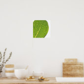 Wild Fig Green Leaf Texture Natuur Poster (Keuken)