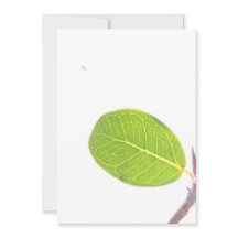 Wild Fig Rich Green Leaf Texture Kaart