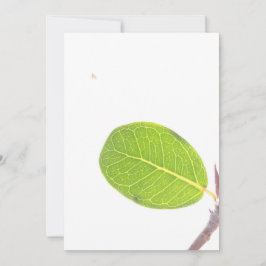 Wild Fig Rich Green Leaf Texture Kaart