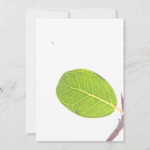 Wild Fig Rich Green Leaf Texture Kaart