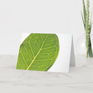 Wild Fig Rich Green Leaf Texture Wenskaart Feestdagen Kaart