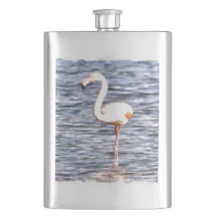 Wild Flamingo Flacon