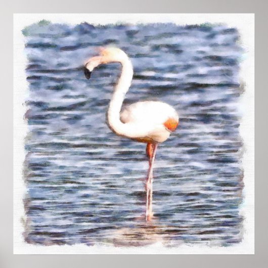 Wild Flamingo Poster (Voorkant)