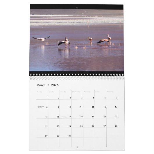 Wild Flamingo Zuid-Amerika Vogels Kalender (Mar 2026)