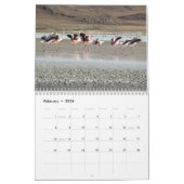 Wild Flamingo Zuid-Amerika Vogels Kalender (Feb 2026)