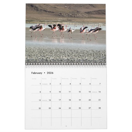 Wild Flamingo Zuid-Amerika Vogels Kalender (Feb 2026)