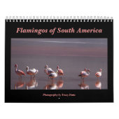 Wild Flamingo Zuid-Amerika Vogels Kalender (Hoes)