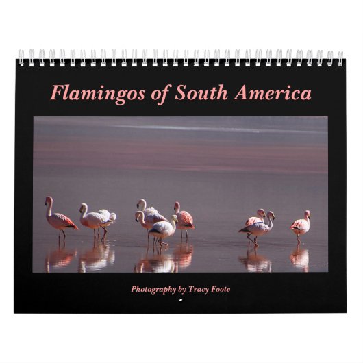 Wild Flamingo Zuid-Amerika Vogels Kalender (Hoes)