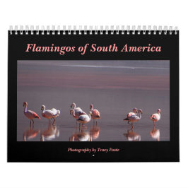 Wild Flamingo Zuid-Amerika Vogels Kalender