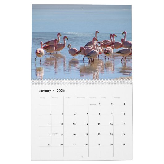 Wild Flamingo Zuid-Amerika Vogels Kalender (Jan 2026)