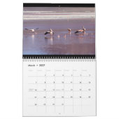 Wild Flamingo Zuid-Amerika Vogels Kalender (Mar 2027)