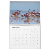Wild Flamingo Zuid-Amerika Vogels Kalender (Jan 2027)
