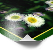 Wild Fleabane Daisy Flower Abstract 8x10 Foto Afdruk (Hoek)