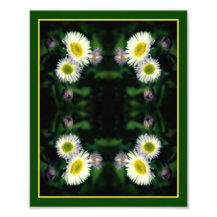 Wild Fleabane Daisy Flower Abstract 8x10 Foto Afdruk