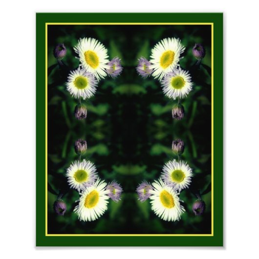 Wild Fleabane Daisy Flower Abstract 8x10 Foto Afdruk (Voorkant)