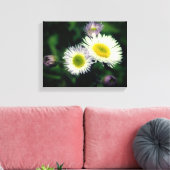 Wild Fleabane Daisy Flower Close Canvas Afdruk (Insitu (Woonkamer))