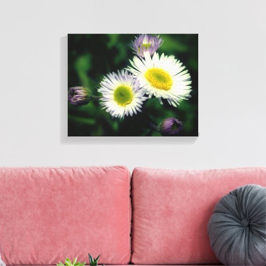 Wild Fleabane Daisy Flower Close Canvas Afdruk (Insitu (Woonkamer))