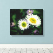 Wild Fleabane Daisy Flower Close Canvas Afdruk (Insitu (Houten vloer))