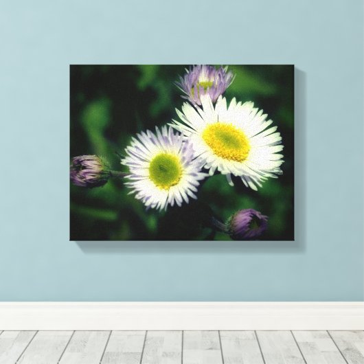 Wild Fleabane Daisy Flower Close Canvas Afdruk (Insitu (Houten vloer))