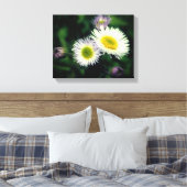 Wild Fleabane Daisy Flower Close Canvas Afdruk (Insitu (Slaapkamer))