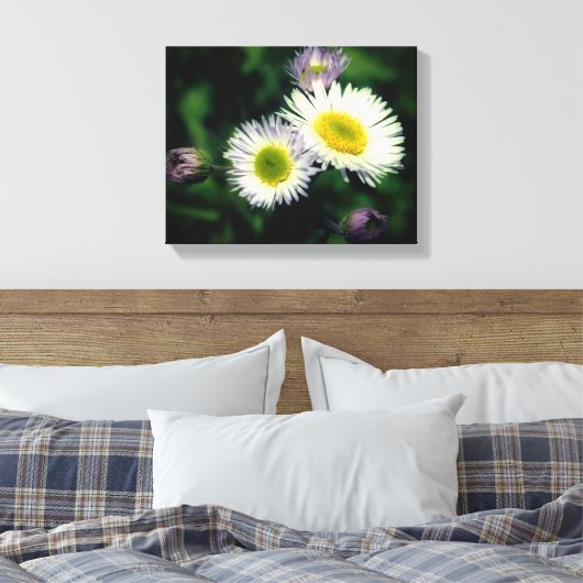 Wild Fleabane Daisy Flower Close Canvas Afdruk (Insitu (Slaapkamer))