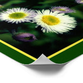 Wild Fleabane Daisy Flower Close Up Abstract Poster (Hoek)