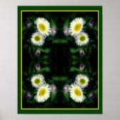 Wild Fleabane Daisy Flower Close Up Abstract Poster (Voorkant)