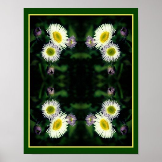 Wild Fleabane Daisy Flower Close Up Abstract Poster (Voorkant)