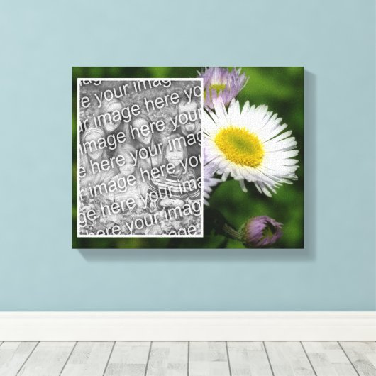 Wild Fleabane Daisy Flower Creëer Uw eigen foto Canvas Afdruk (Insitu (Houten vloer))