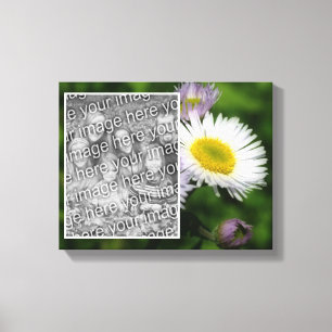 Wild Fleabane Daisy Flower Creëer Uw eigen foto Canvas Afdruk
