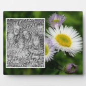 Wild Fleabane Daisy Flower Creëer Uw eigen foto Fotoplaat (Voorkant)