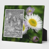 Wild Fleabane Daisy Flower Creëer Uw eigen foto Fotoplaat (Zijkant)