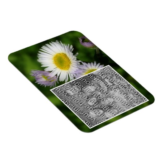 Wild Fleabane Daisy Flower Lijst Uw foto toevoegen Magneet (Rechterzijde)
