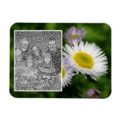 Wild Fleabane Daisy Flower Lijst Uw foto toevoegen Magneet (Horizontaal)