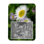 Wild Fleabane Daisy Flower Lijst Uw foto toevoegen Magneet (Verticaal)