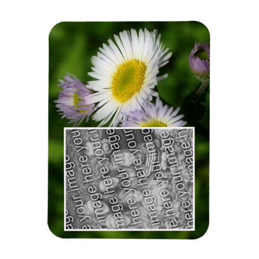 Wild Fleabane Daisy Flower Lijst Uw foto toevoegen Magneet (Verticaal)