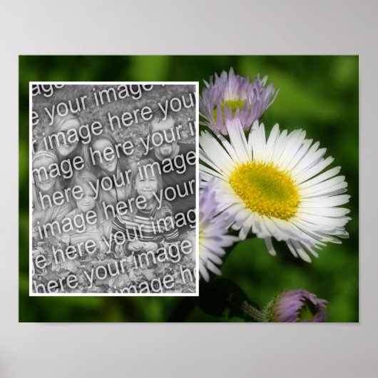 Wild Fleabane Daisy Flower Lijst Uw foto toevoegen Poster (Voorkant)