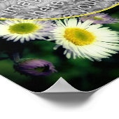 Wild Fleabane Daisy Lijst Creëer Uw eigen foto Poster (Hoek)