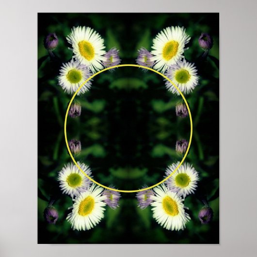 Wild Fleabane Daisy Lijst Creëer Uw eigen foto Poster (Voorkant)