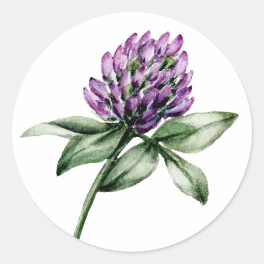 Wild Flower Clover Paarse Bud Ronde Sticker (Voorkant)