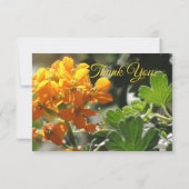 Wild Flower Flat Bedankkaart (Achterkant)