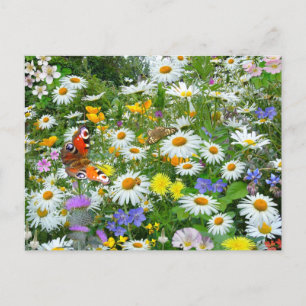 Wild Flower Meadow Briefkaart