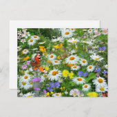 Wild Flower Meadow Briefkaart (Voorkant / Achterkant)