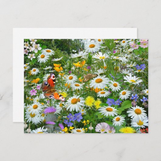 Wild Flower Meadow Briefkaart (Voorkant / Achterkant)