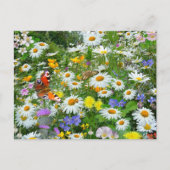 Wild Flower Meadow Briefkaart (Voorkant)