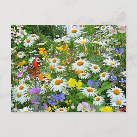 Wild Flower Meadow Briefkaart (Voorkant)