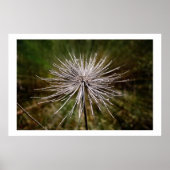 Wild flower poster (Voorkant)