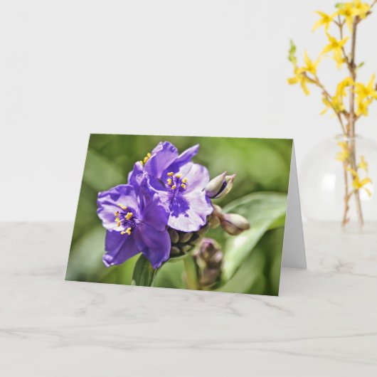 Wild Flower Scripture Note Kaart Hebrews 11:1 (Gele Bloem)